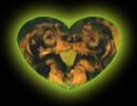 AMOUREUX