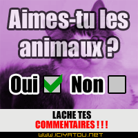 oui