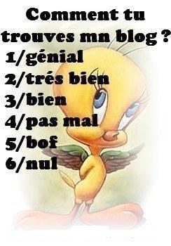 cmt trouves tu mon blog
