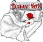 bonne nuit a tous