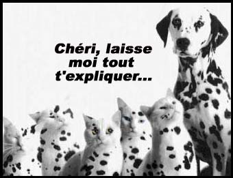 Les hommes ....