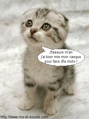 trop mimi